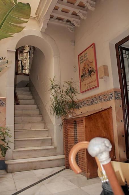 Penthouse With Large Terrace In Center Of Cadiz Leilighet Eksteriør bilde