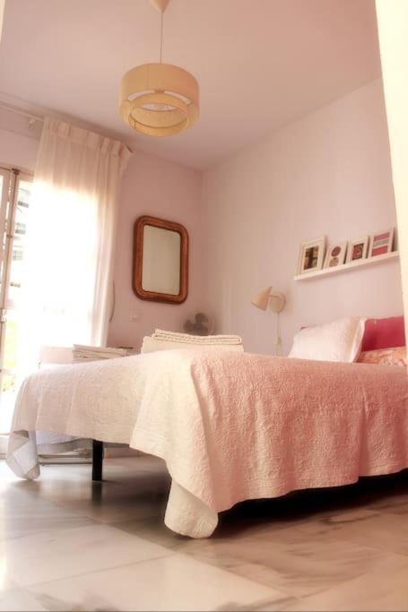 Penthouse With Large Terrace In Center Of Cadiz Leilighet Eksteriør bilde